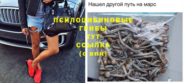 бошки Белокуриха