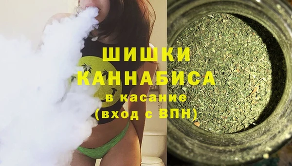 бошки Белокуриха