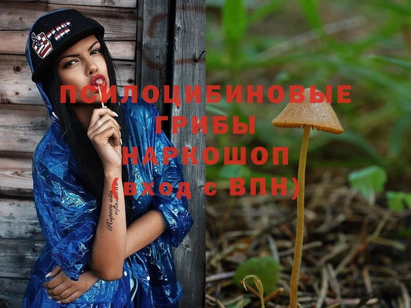 дживик Беломорск