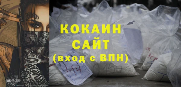 бошки Белокуриха