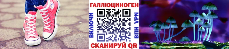 Галлюциногенные грибы Cubensis Новоалександровск
